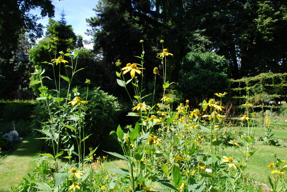 Orto Botanico_032.JPG